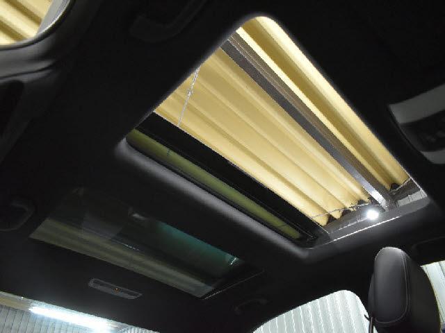 24370069_carP_l_10.jpg