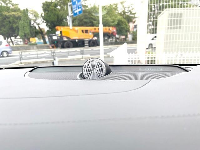 26446249_carP_l_17.jpg