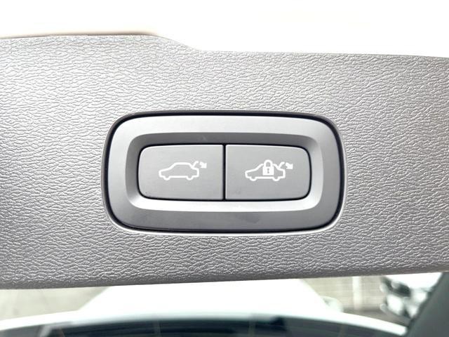 26446249_carP_l_9.jpg