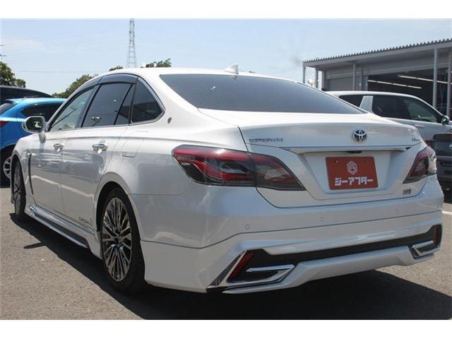 23909653_carP_l_7.jpg