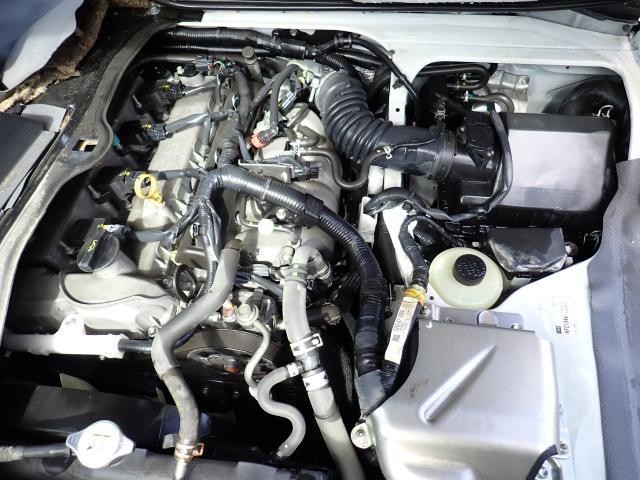 26362829_carP_l_17.jpg