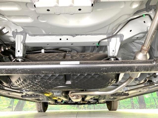 25324037_carP_l_18.jpg