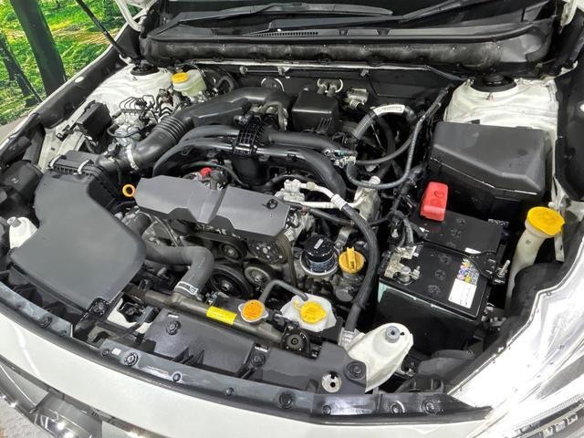 26816600_carP_l_20.jpg