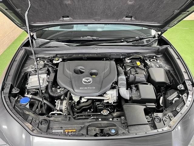 0207973A20260809D01213.jpg