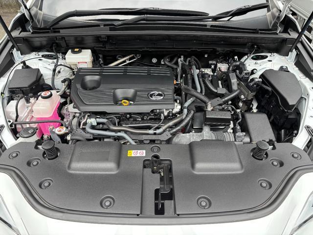 23511143_carP_l_2.jpg
