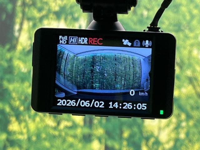 24340513_carP_l_14.jpg