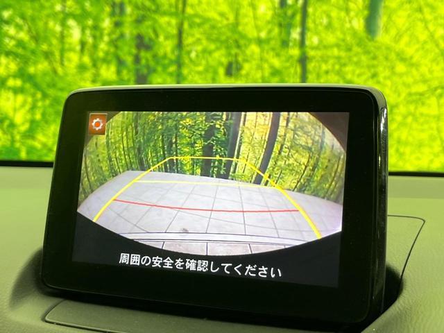 23675213_carP_l_4.jpg