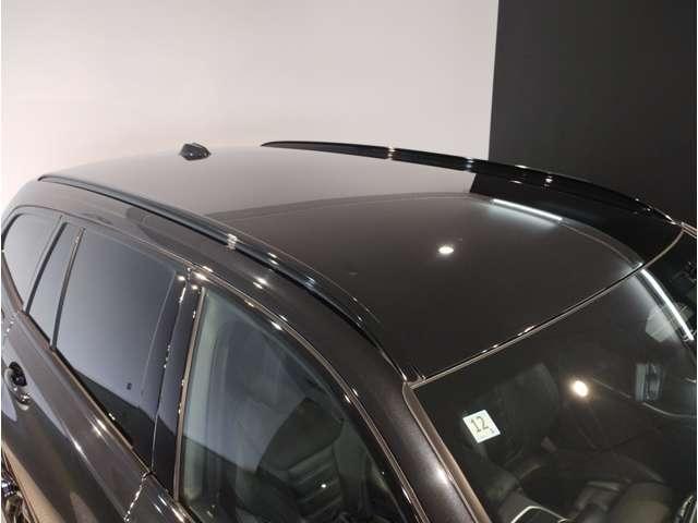 24417229_carP_l_8.jpg