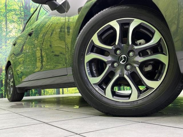 25303629_carP_l_6.jpg