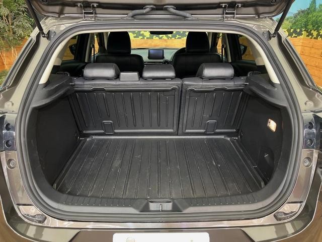 26402752_carP_l_6.jpg