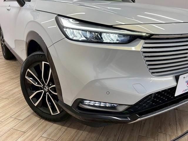25090992_carP_l_20.jpg
