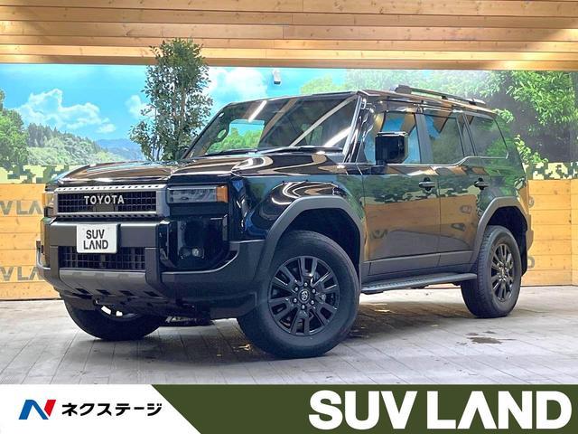 26577879_carP_l_1.jpg