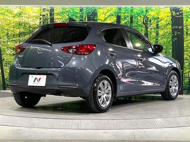 25734550_carP_l_12.jpg