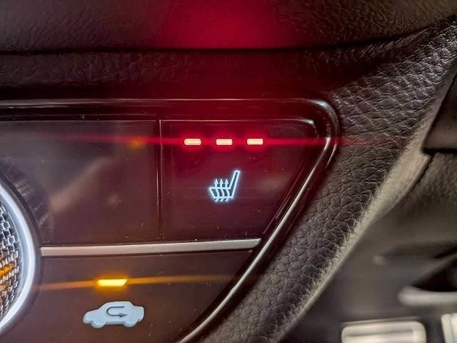 25090993_carP_l_19.jpg