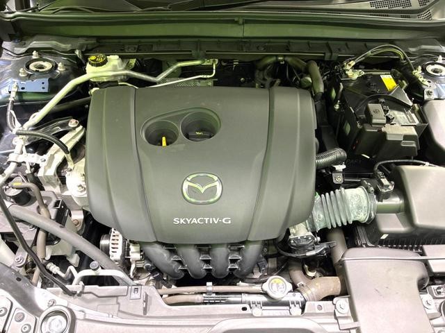 26146531_carP_l_18.jpg