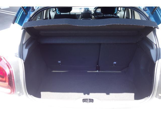 23945671_carP_l_7.jpg