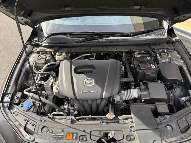0701359A30261025W00118.jpg