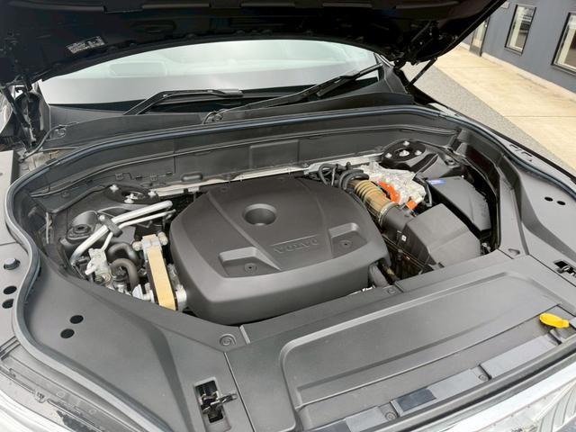 24259408_carP_l_20.jpg