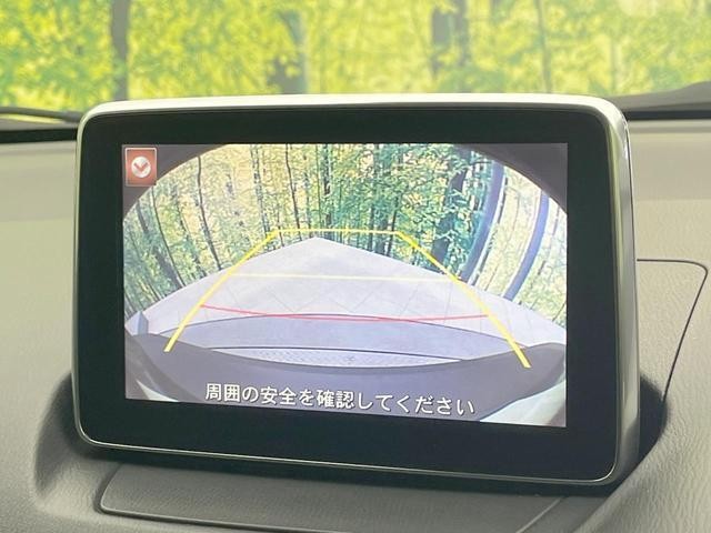 25199665_carP_l_10.jpg