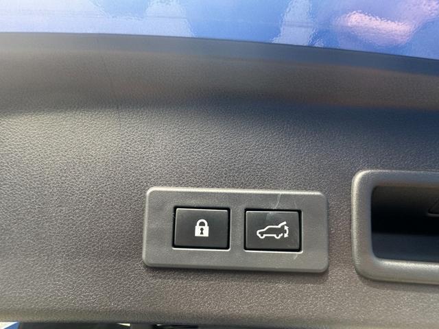 23437152_carP_l_11.jpg