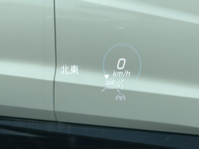 23437161_carP_l_10.jpg