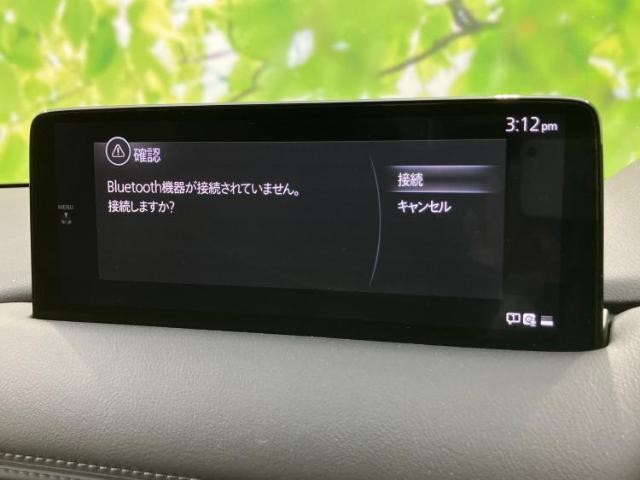 24587707_carP_l_6.jpg