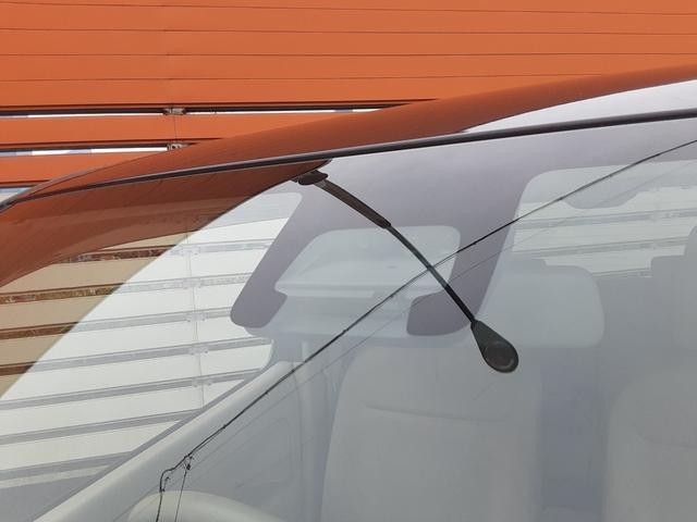 26373667_carP_l_4.jpg