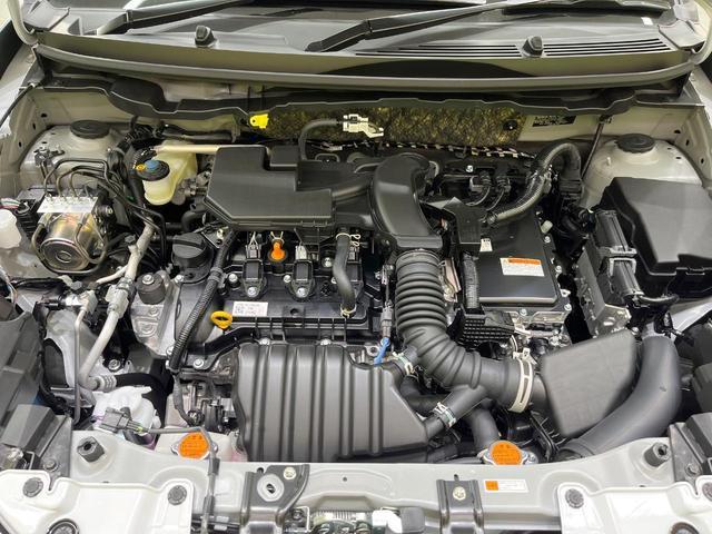 24912464_carP_l_18.jpg
