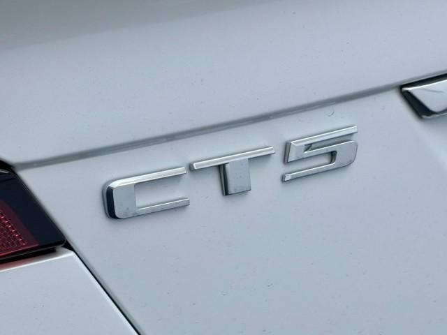 25304209_carP_l_16.jpg