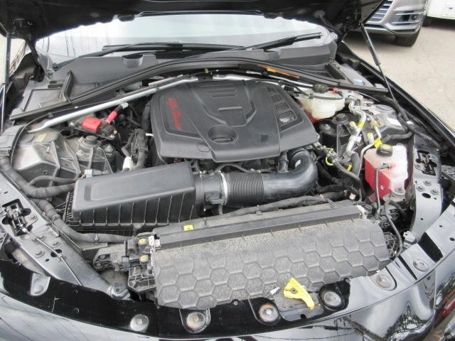 26215523_carP_l_17.jpg