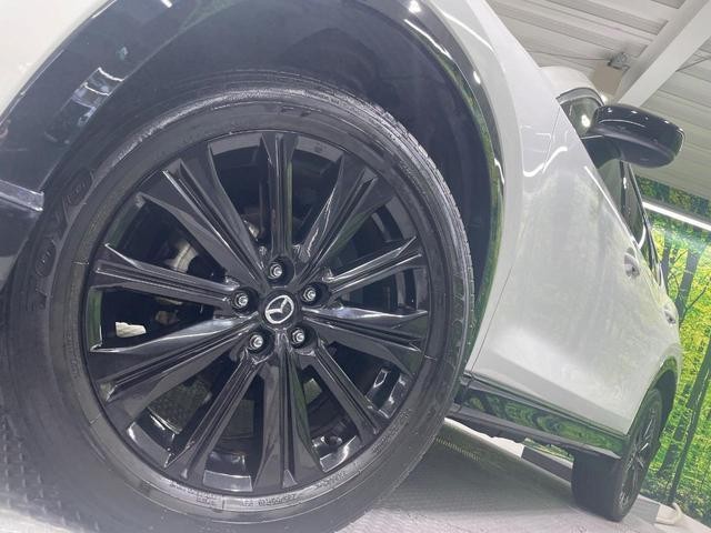 26534734_carP_l_8.jpg