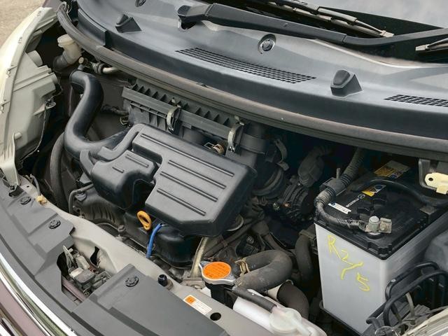 25157793_carP_l_6.jpg