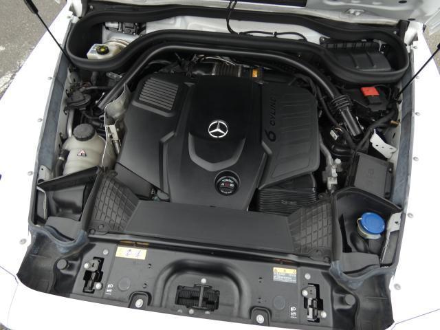24891366_carP_l_20.jpg