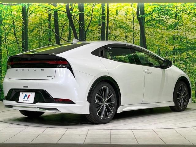 25303748_carP_l_12.jpg