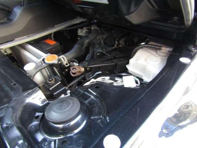 25710249_carP_l_8.jpg