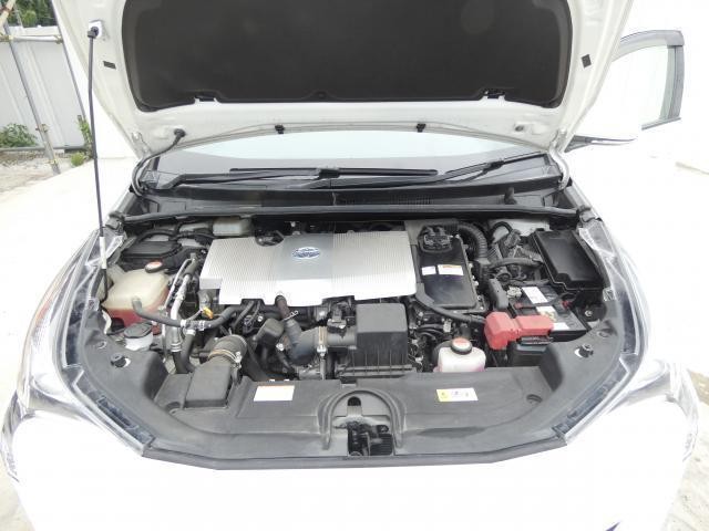 25308627_carP_l_9.jpg