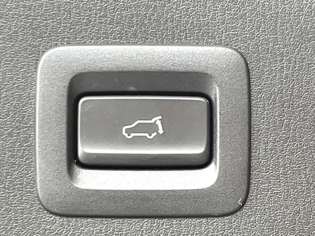 25774550_carP_l_10.jpg