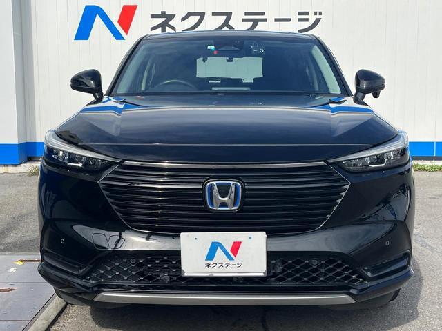 24340533_carP_l_8.jpg