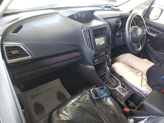 25693855_carP_l_15.jpg