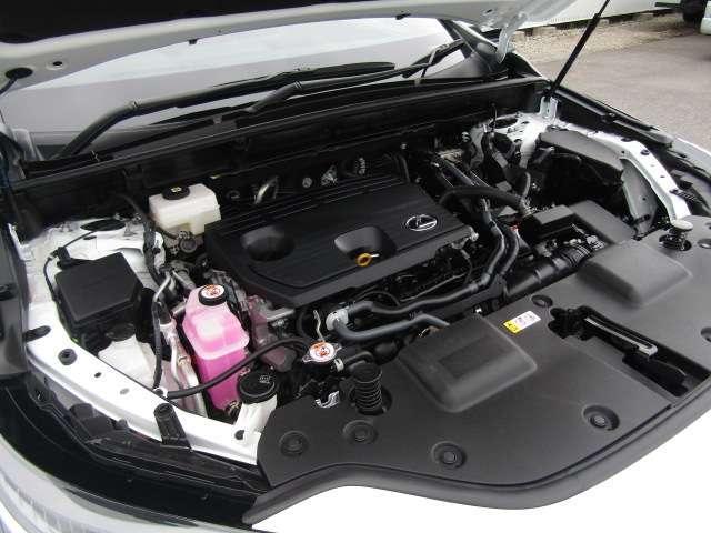 24225371_carP_l_16.jpg