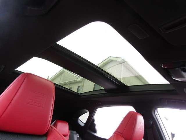24225371_carP_l_6.jpg
