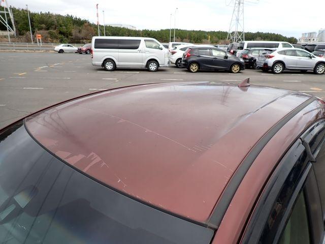 23521146_carP_l_7.jpg