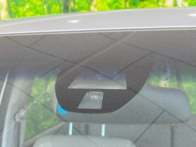 26989033_carP_l_10.jpg