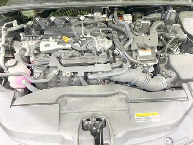 26446336_carP_l_16.jpg