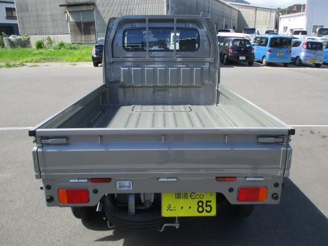 25693860_carP_l_19.jpg