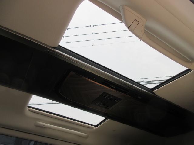 23700126_carP_l_12.jpg