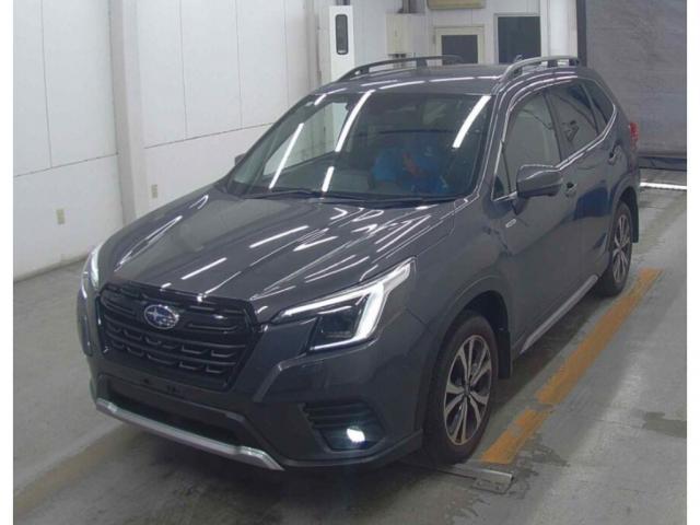 23676220_carP_l_4.jpg