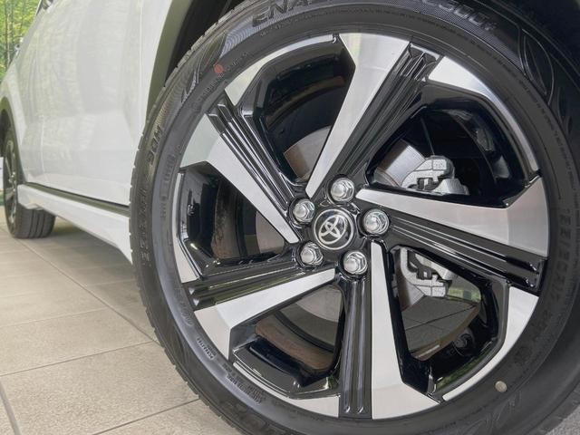 25734655_carP_l_7.jpg