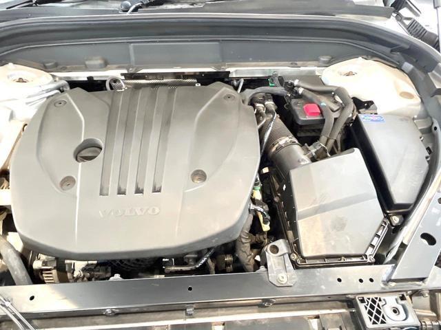 24542101_carP_l_20.jpg