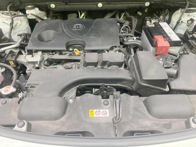 25549460_carP_l_16.jpg